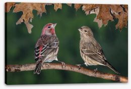 Birds Stretched Canvas 263739785