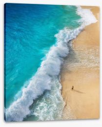Beaches Stretched Canvas 265218602
