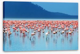 Flamingo lake Stretched Canvas 26533537