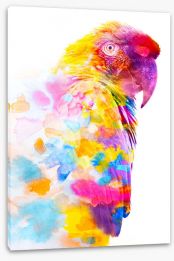 Birds Stretched Canvas 266311081
