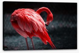 Birds Stretched Canvas 266424885