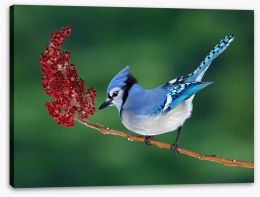 Birds Stretched Canvas 269233402