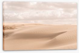 Desert Stretched Canvas 272374404