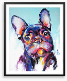 Beguiling bulldog Framed Art Print 273227040