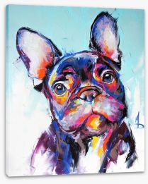 Animals Stretched Canvas 273227040