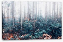 Forests Stretched Canvas 273756130