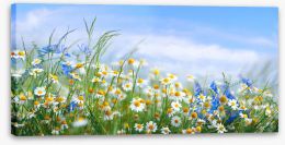 Meadows Stretched Canvas 274182321