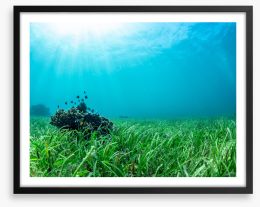 Sea grass lawn Framed Art Print 275741658