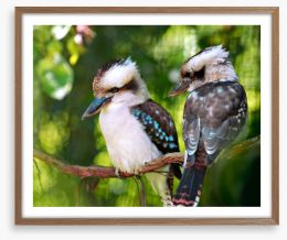 Kookaburra couple Framed Art Print 2765710
