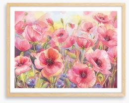 Pink poppy sunshine Framed Art Print 277825137