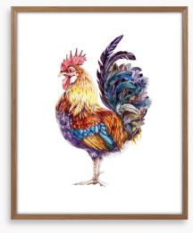 Rooster ruffles Framed Art Print 279077858