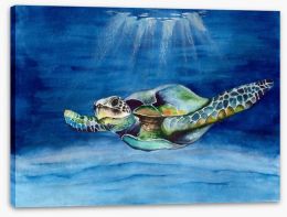 Green sea turtle Stretched Canvas 279130391