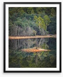 In the forest lake Framed Art Print 279252074