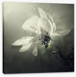 Jasmine scent  Stretched Canvas 280385929