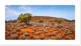 Outback Art Print 280510470