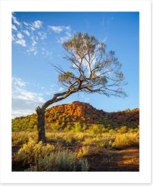 Outback Art Print 280510640