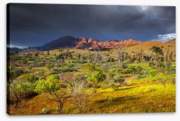 Outback Stretched Canvas 280511866