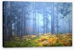 Forests Stretched Canvas 282001191