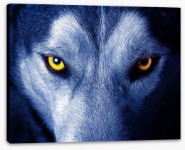 Wild wild wolf Stretched Canvas 28227019