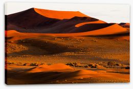 Desert Stretched Canvas 284361239