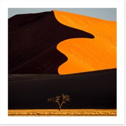 Desert Art Print 284361916