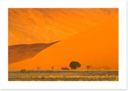 Desert Art Print 284362759
