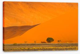 Desert Stretched Canvas 284362759