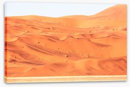 Desert Stretched Canvas 284362904