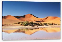Desert Stretched Canvas 284363047