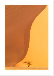 Desert Art Print 284363059