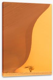 Desert Stretched Canvas 284363059