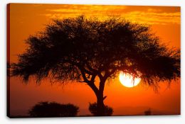 Africa Stretched Canvas 284363653