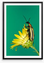 Insects Framed Art Print 284423900