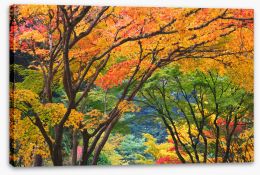 Trees Stretched Canvas 284455143