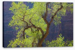 Trees Stretched Canvas 284464413