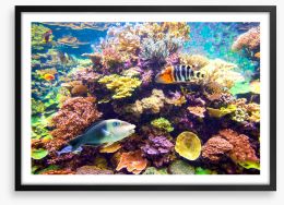 Floral reef Framed Art Print 285389614