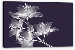 Floral Stretched Canvas 288416700