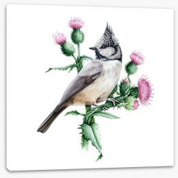 Birds Stretched Canvas 288825946