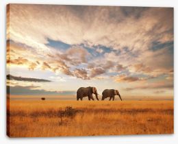 Safari for two Stretched Canvas 28905607