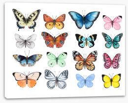 Butterflies Stretched Canvas 292386173