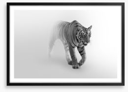 Tiger from the mist Framed Art Print 293667833
