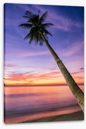 Sunsets Stretched Canvas 293960718