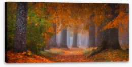 Autumn Stretched Canvas 294148298