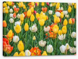 Meadows Stretched Canvas 294861229