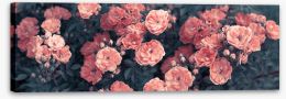 Flowers Stretched Canvas 295236020