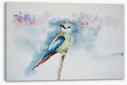 Birds Stretched Canvas 296551292