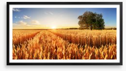 Way through the wheat Framed Art Print 297382345