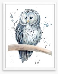 Snowy owl splash Framed Art Print 297404730