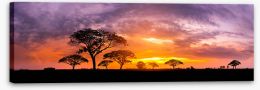 Sunsets Stretched Canvas 297445174