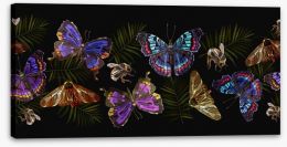Butterflies Stretched Canvas 298585034